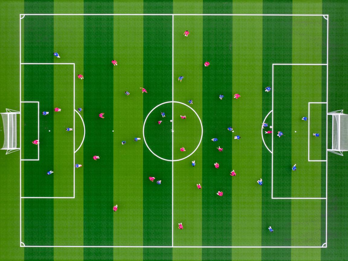 九游体育官网-中立B蛙泳选手配速结构优化成亮点，直立蛙泳  第3张