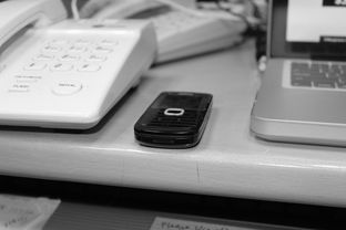 九游娱乐在线-技术数据揭示冠军转身平均仅0.65秒，冠军转盘